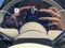 2027 Mercedes-Benz S-Class S 500 4MATIC®