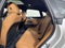 2025 BMW 4 Series 430i Gran Coupe
