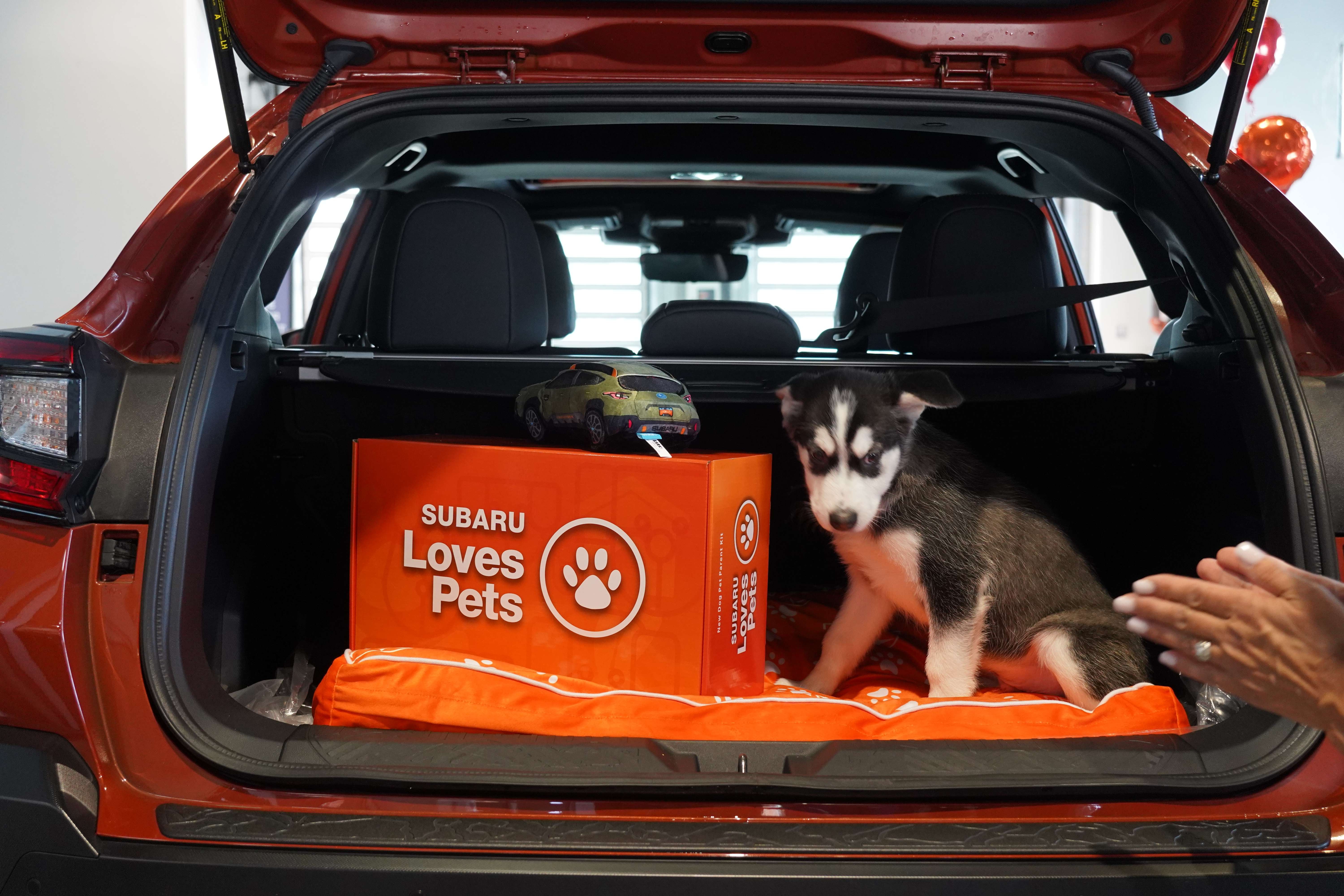 Subaru Loves Pets