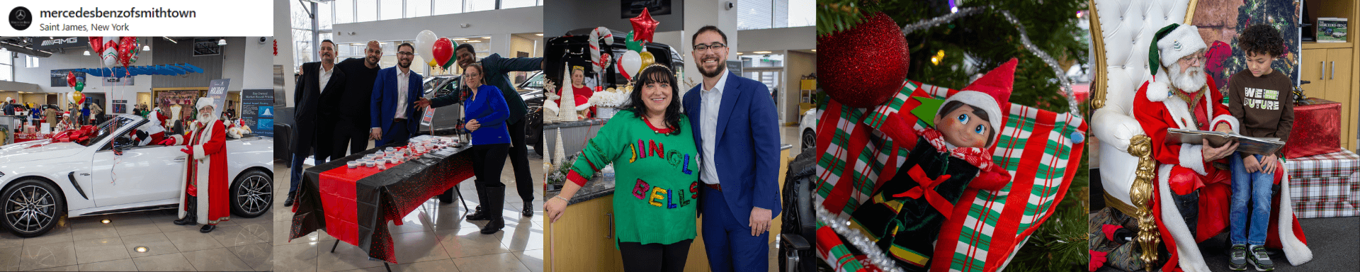 Holiday Photos with Santa & Yorkie 911 Rescue 