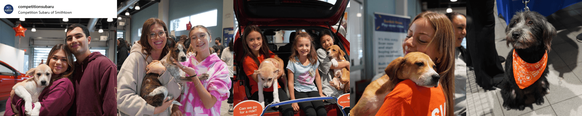 Pawsitive Possibilities Adoption Event