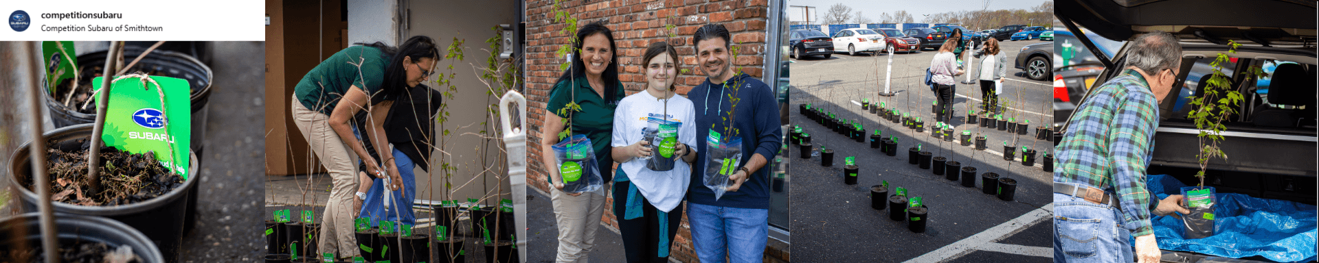 Arbor Day Tree Giveaway