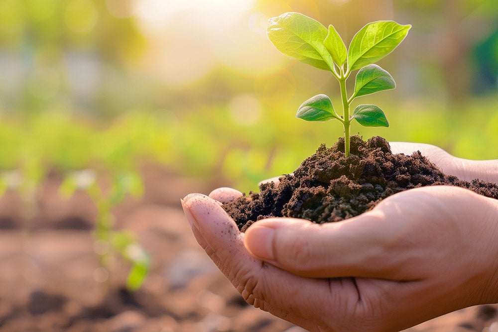 One Tree Planted
