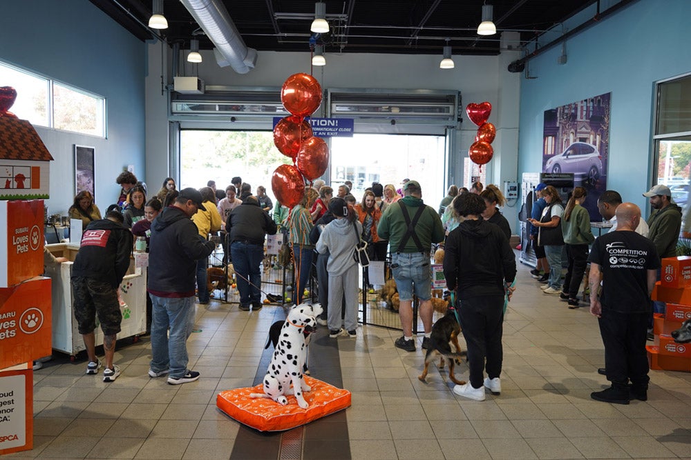 A crowded indoor pet adoption event with people, many dogs, red balloons, and '' Subaru Loves
Pets' signage.