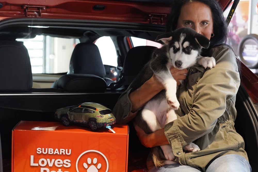 Woman holding a husky puppy in the back of a car with a 'Subaru Loves Pets' box and toy car.