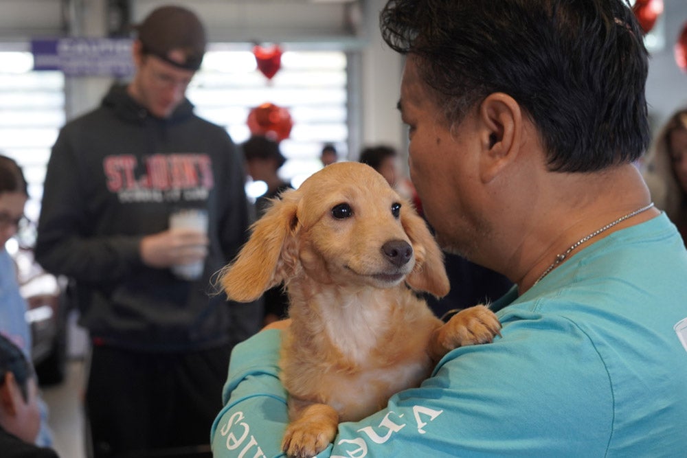 A man in a blue shirt holds a small, light-brown dog with floppy ears, looking at it with a smile.
