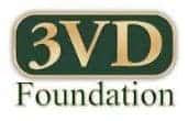 Three Village Dad Foundation