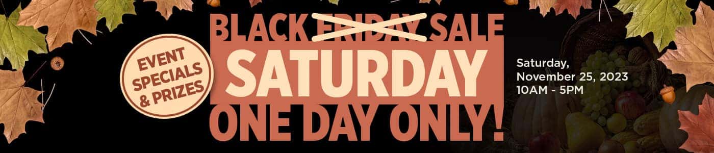 Black Saturday one day sale