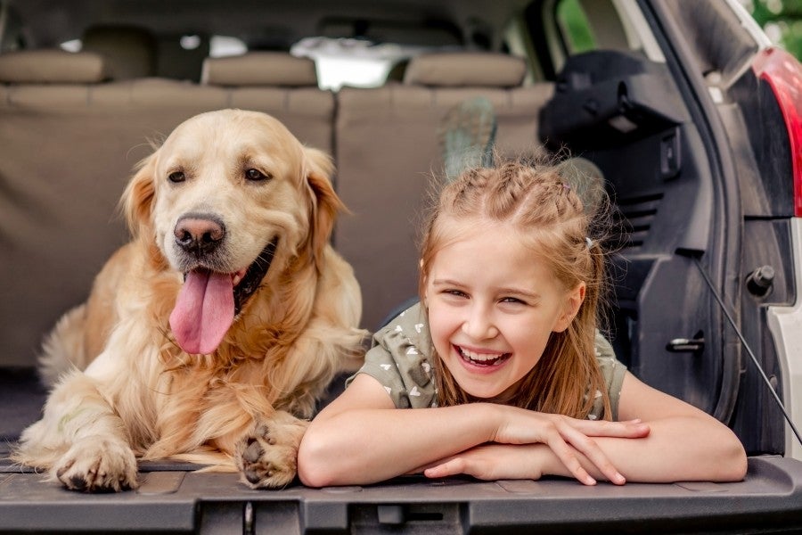 Pet Friendly